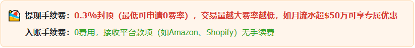 图片[6]-Shopify开店建站教程(三)：收款方式介绍-柿哥出海教程