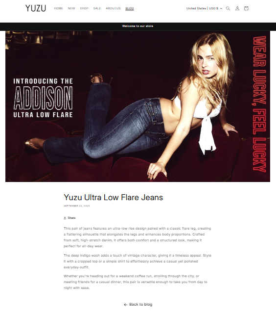 图片[21]-Shopify装修教程（十四）：其他界面设置-柿哥出海教程