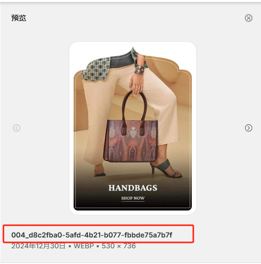 图片[9]-ShopifySEO优化教程（六）：部署类目页和图片关键词-柿哥出海教程