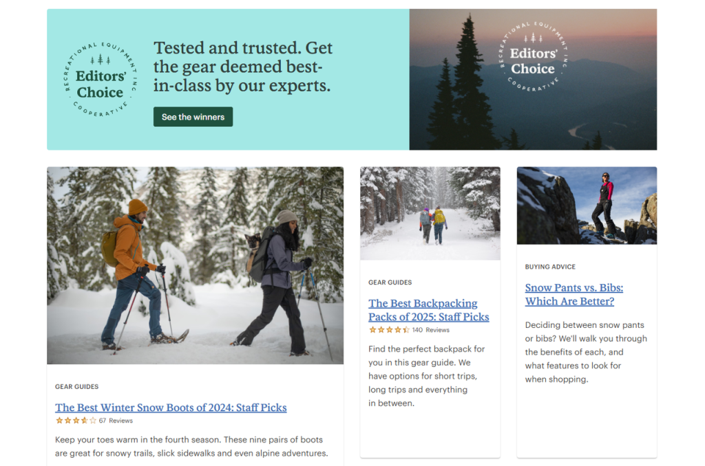图片[4]-ShopifySEO优化教程（七）：利用站内博客创建高质量内容-柿哥出海教程