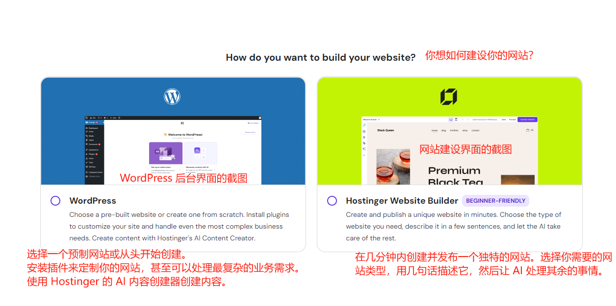WordPress教程：Hostinger主机域名购买 - 第21张图片