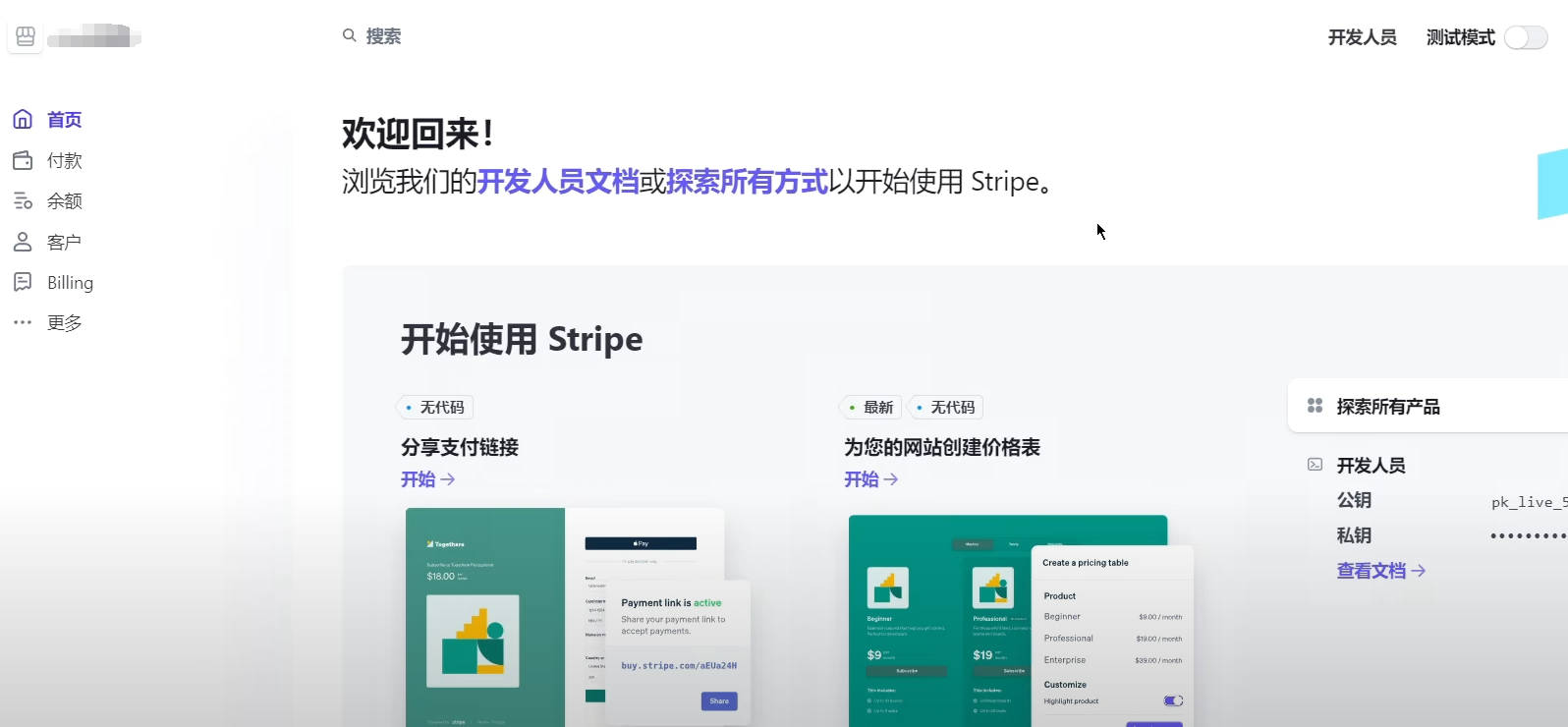 WordPress教程：woocommerce插件付款配置教程 - 第40张图片