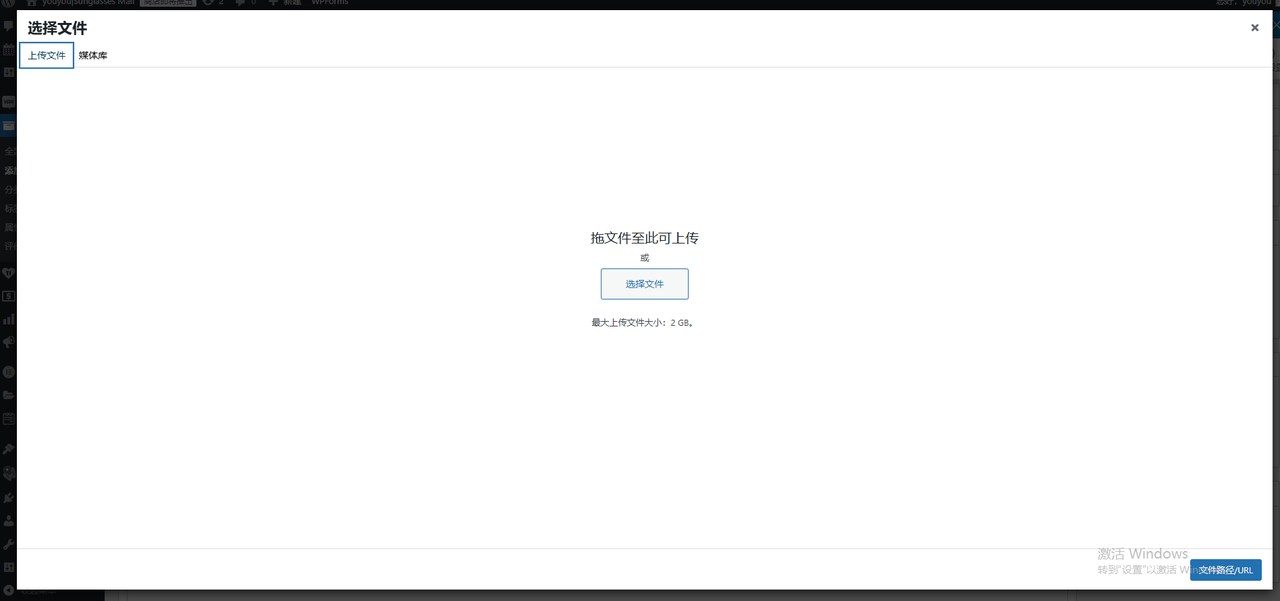WordPress教程：产品数据录入 - 第8张图片
