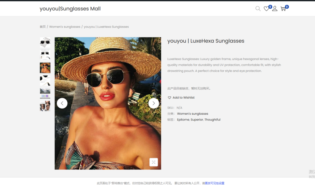 图片[15]-WordPress教程：产品详情设置-柿哥出海教程