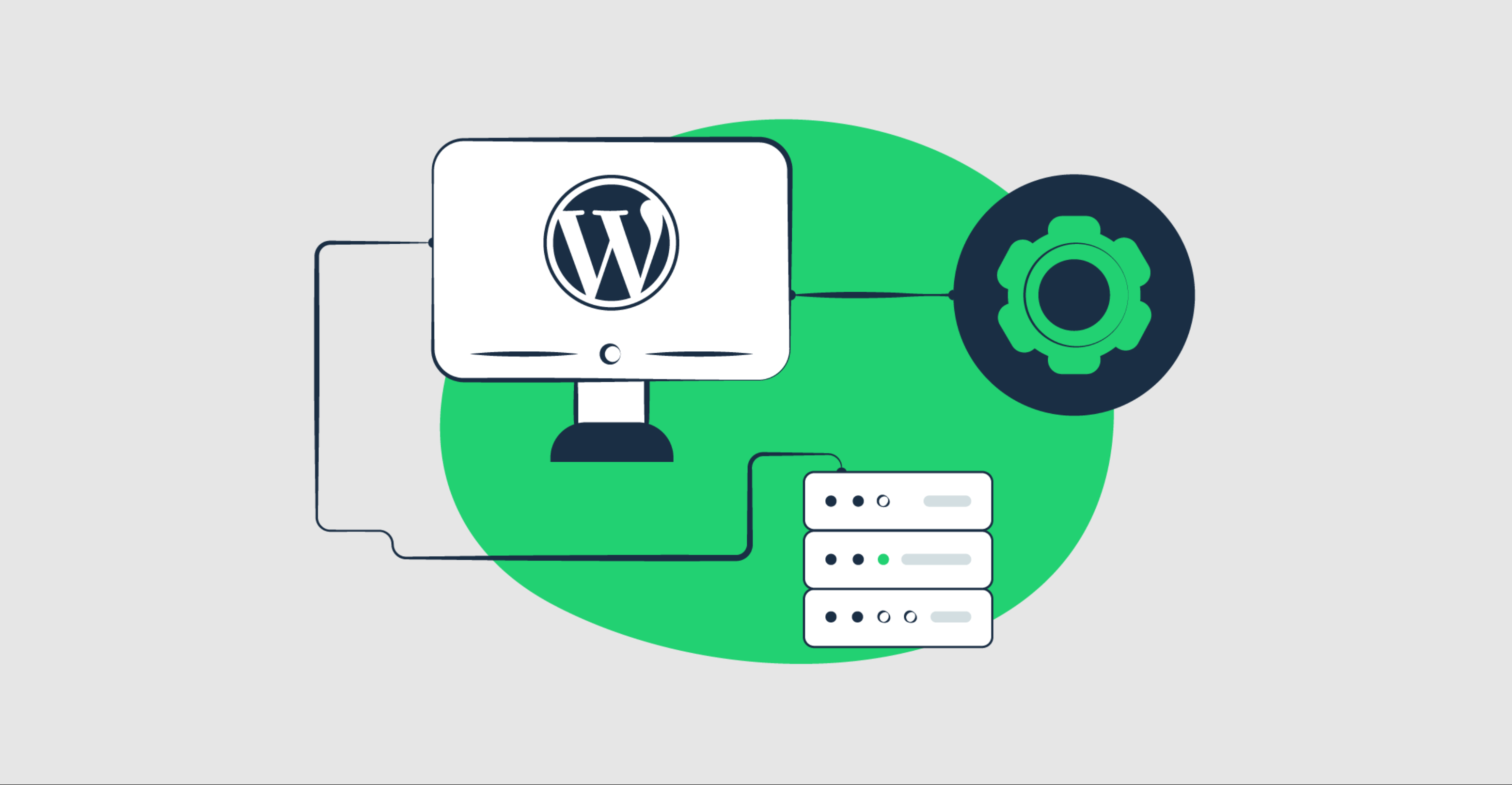 WordPress教程：账户隐私设置-柿哥出海教程
