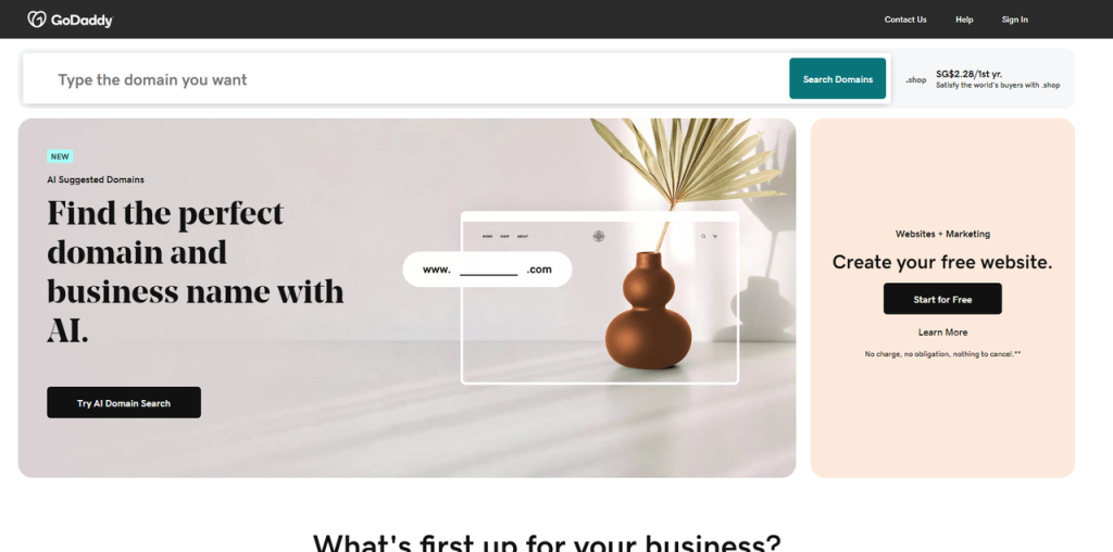 图片[1]-Hostinger域名绑定教程-柿哥出海教程
